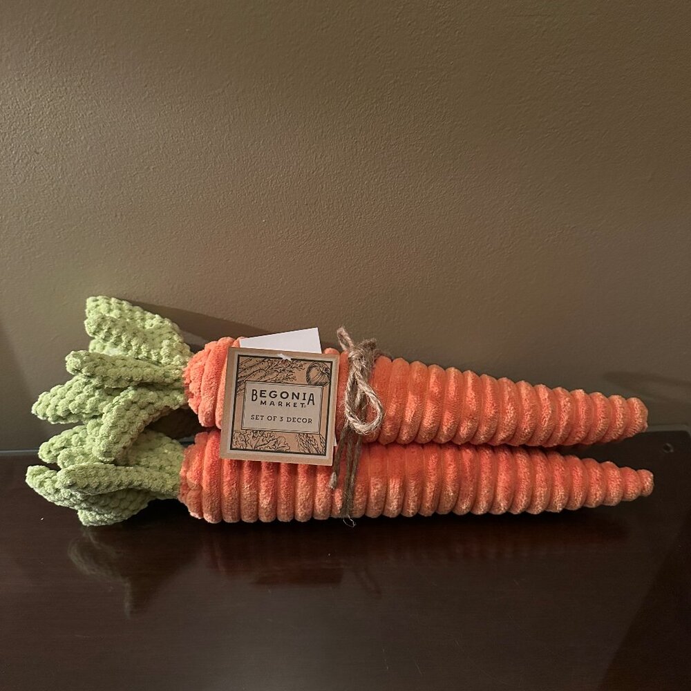 BEGONIA MARKET CARROTS FARMHOUSE ORANGE GREEN 15 INCHES NWT